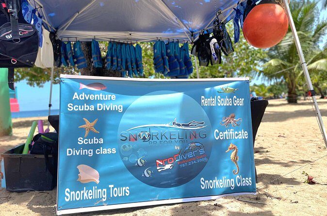 Snorkeling Tour at Cerro Gordo Beach Vega Alta Puerto Rico - Who Will Benefit Most