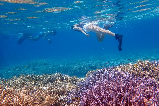 Snorkeling Tour at Phantom Island - Cancellation Policy Explained