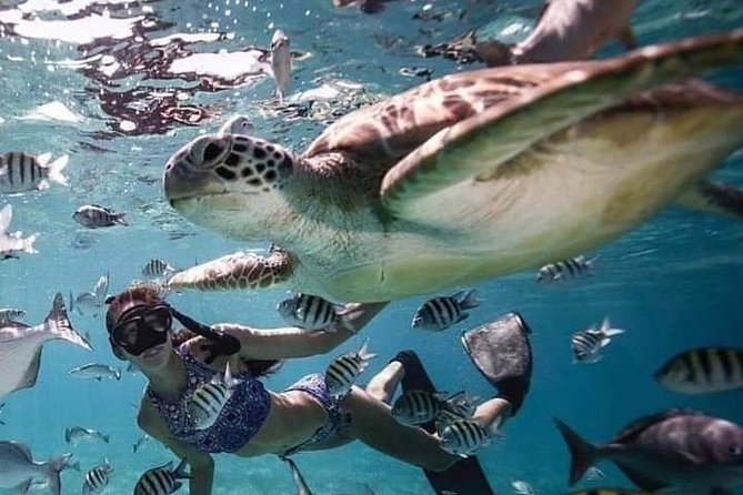 Snorkeling Tour In Gili Trawangan, Gili Meno And Gili Air Pick Up From Bali - Snorkeling Locations
