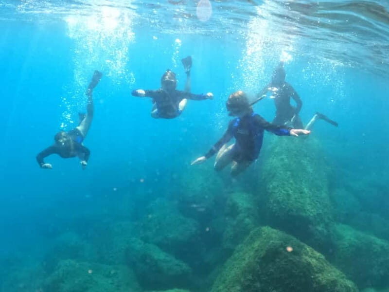 Snorkeling Tour in Levanto: Discover the Wonders of the Sea! - How the Tour Starts: From Land to Sea