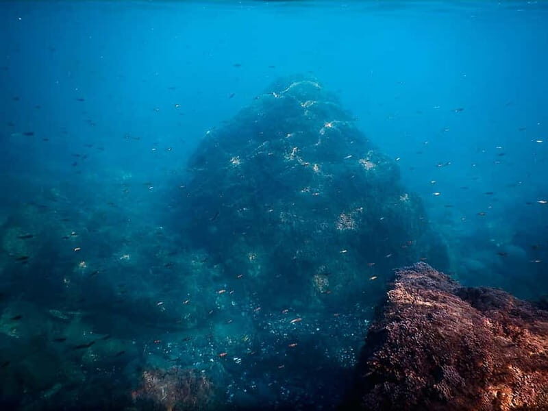 Snorkeling Tour in Levanto: Discover the Wonders of the Sea! - The Cultural and Culinary Touch