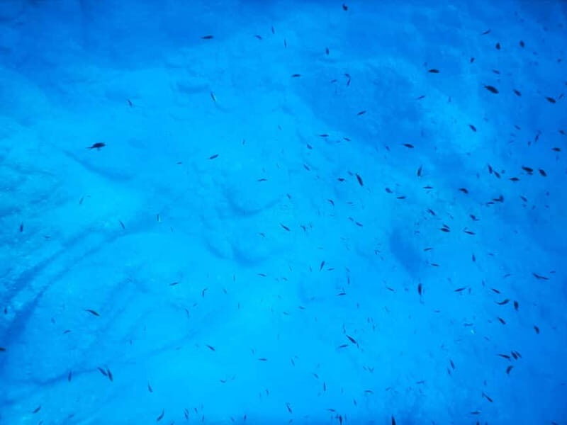 Snorkeling Tour in Levanto: Discover the Wonders of the Sea! - Practical Details and What’s Not Included