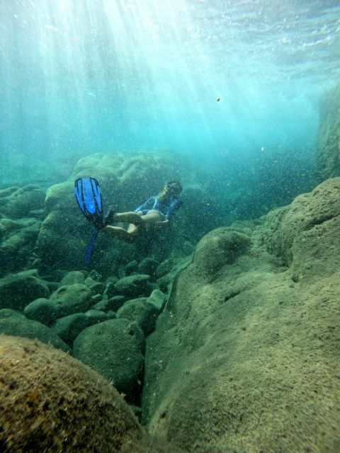 Snorkeling Tour in Levanto: Discover the Wonders of the Sea! - Key Points