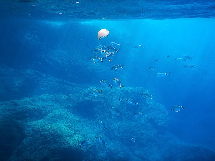 Snorkeling Tour in Levanto: Discover the Wonders of the Sea! - Booking Process