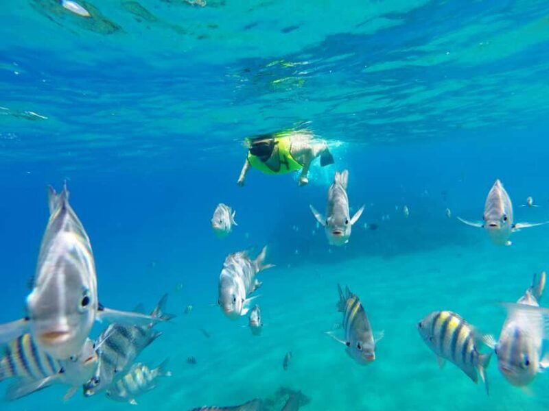 Snorkeling Tour & Sosua Beach Day - An Honest Breakdown of the Sosua Snorkeling Experience