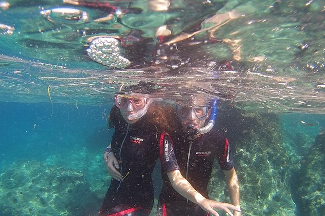 Snorkeling Trip - Customer Feedback and Reviews