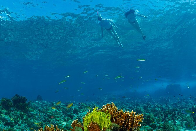 Snorkeling Trip to Menjangan Island - Trip Itinerary Details