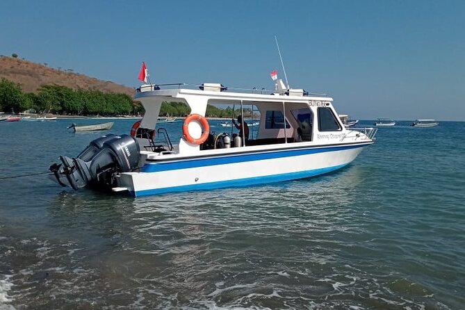 Snorkeling Trip to Menjangan Island - Meeting and Pickup Information