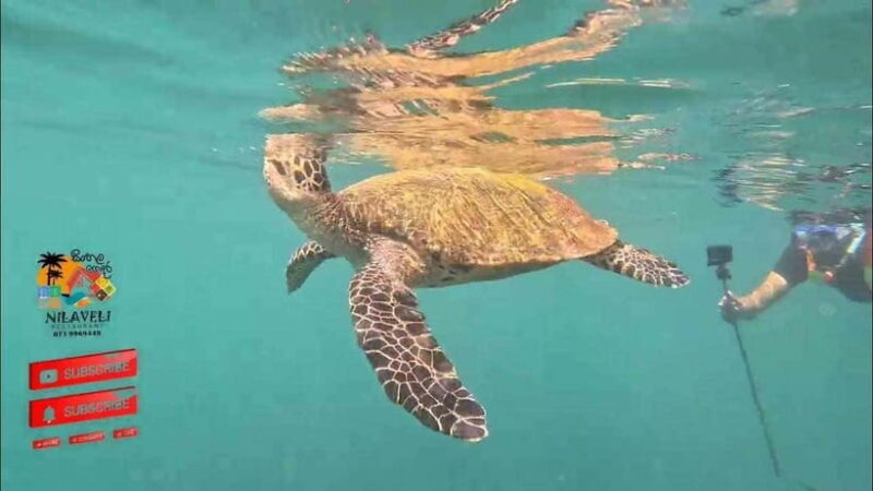 Snorkeling Trip To Pigeon Island - The Real Value: What Makes This Tour Stand Out?