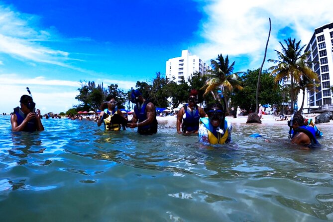 Snorkeling W/ Manatees & Turtles in San Juan! (Free Rum) - Whats Included in the Tour