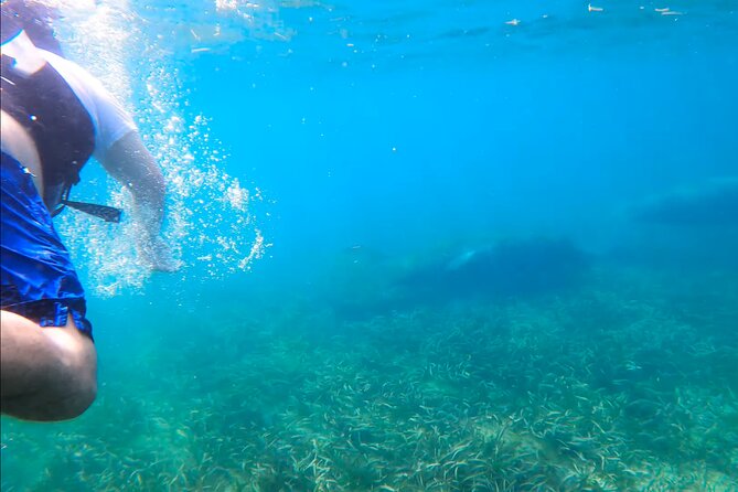 Snorkeling W/ Manatees & Turtles in San Juan! (Free Rum) - Tour Participant Requirements