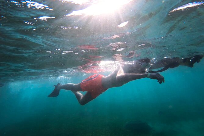 Snorkeling W/ Manatees & Turtles in San Juan! (Free Rum) - Tour Reviews and Ratings