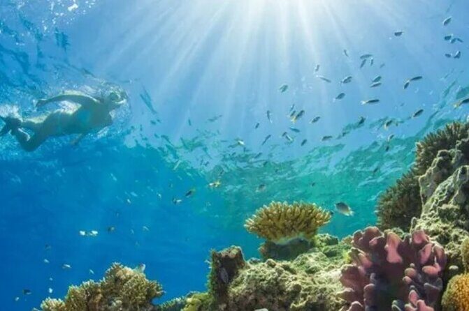 Snorkeling Water Private Activity In Montego Bay Jamaica - An Overview of the Tour Experience