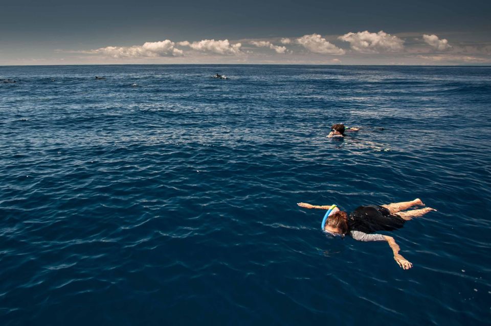 Snorkeling Wildlife in Terceira Island - Group Size and Language Options