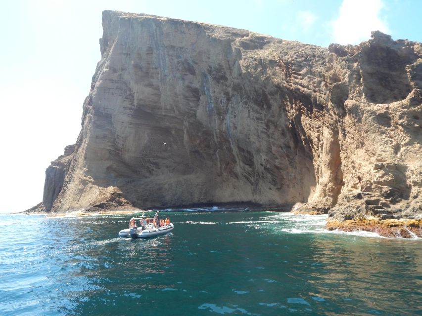 Snorkeling Wildlife in Terceira Island - Frequently Asked Questions