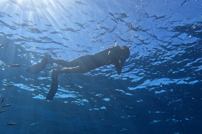 Snorkeling With a Professional Instructor in Tenerife - Meeting Point and Pickup