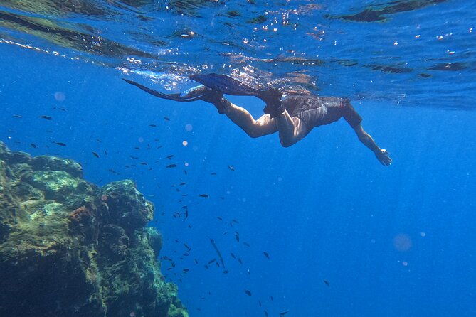 Snorkeling With a Professional Instructor in Tenerife - Additional Information and Reminders