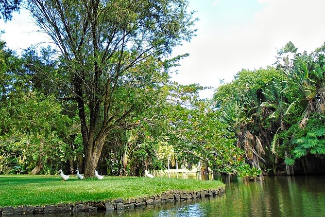 Snorkeling With Giant Turtles, the Red Church, Pamplemousses Garden & Port Louis - Visiting Port Louis