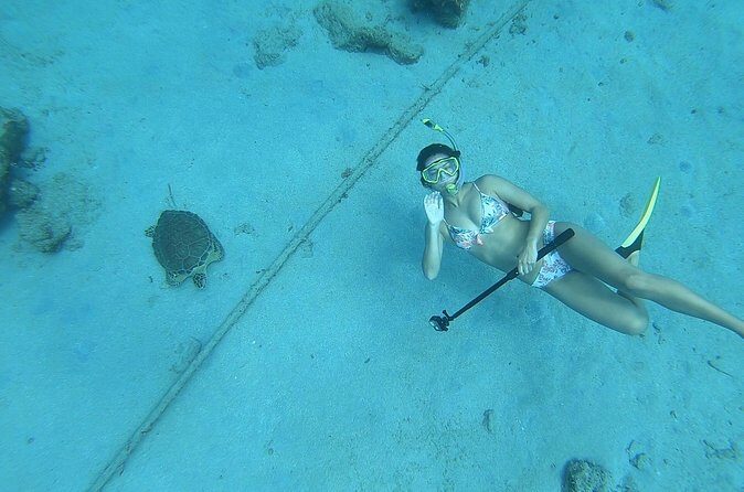 Snorkeling with Sea Turtles - The Guides and the Marine Encounters