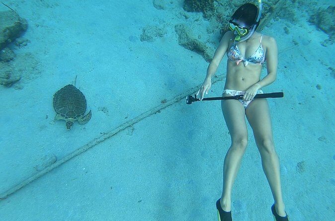 Snorkeling with Sea Turtles - The Sum Up: Who Is This Tour Best For?