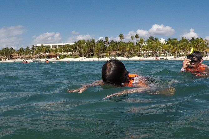 Snorkeling with Sea Turtles and Cenote Adventure - An In-Depth Look at the Tour Experience