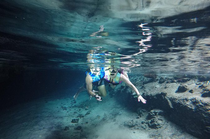 Snorkeling with Sea Turtles and Cenote Adventure - Final Thoughts: Who Is This Tour For?