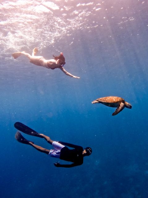 Snorkeling With Turtle and Underwater Statue in Gilis - Whats Included in the Tour