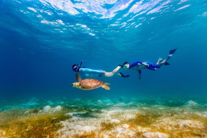 Snorkeling With Turtles and Cenotes - Exploring the Underwater World
