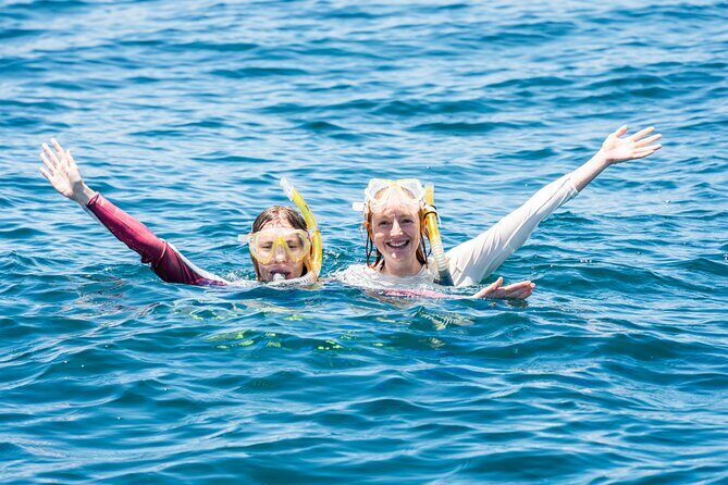 Snorkeling with Turtles Cook Island Marine Reserve - Important Details and Practical Tips