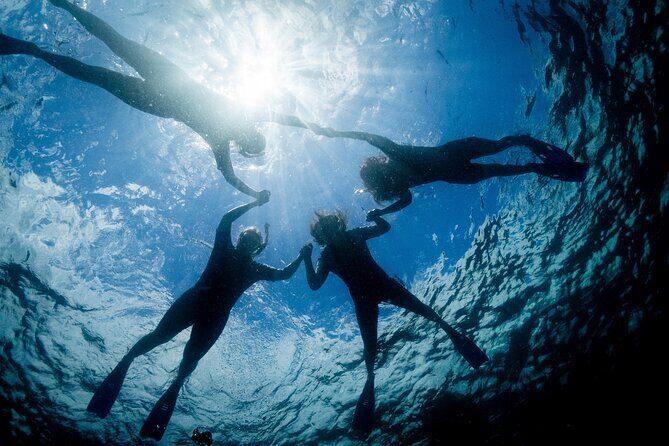 Snorkeling with Turtles Cook Island Marine Reserve - The Sum Up: Is This Tour Right for You?