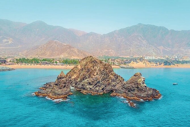 Snorkeling With Turtles in Fujairah With BBQ Lunch - Customer Reviews Breakdown