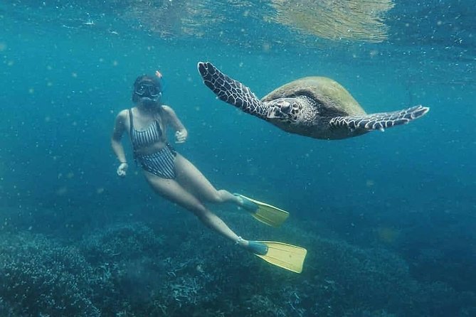 Snorkeling With Whales in Mirissa - Rescheduling Policy