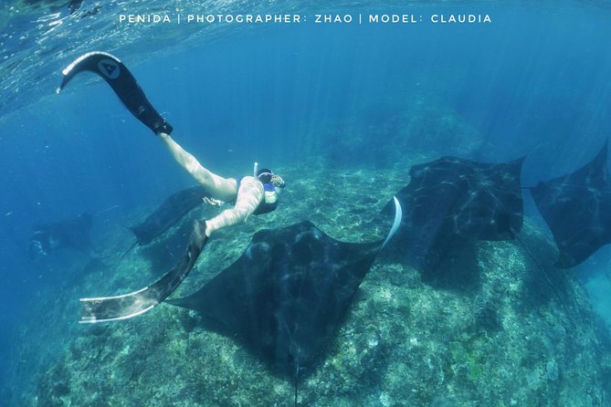 Snorkelling in Nusa Penida - Manta Point - Guided Snorkeling Experience