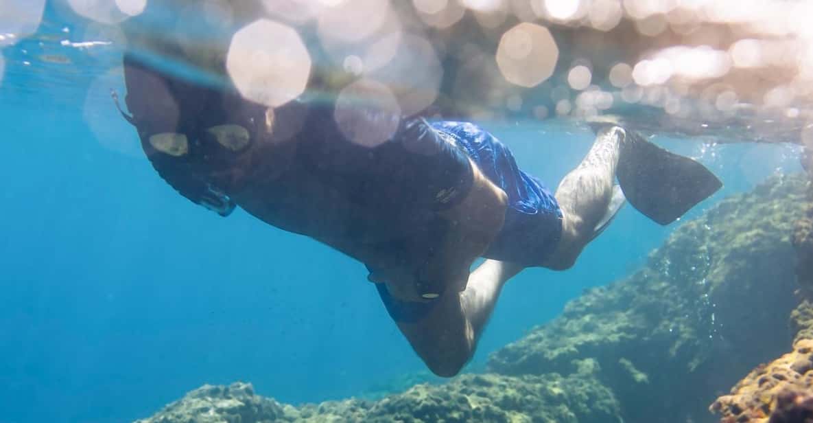 Snorkelling & Marine Biology Experience in the Cinque Terre - Accessibility and Suitability