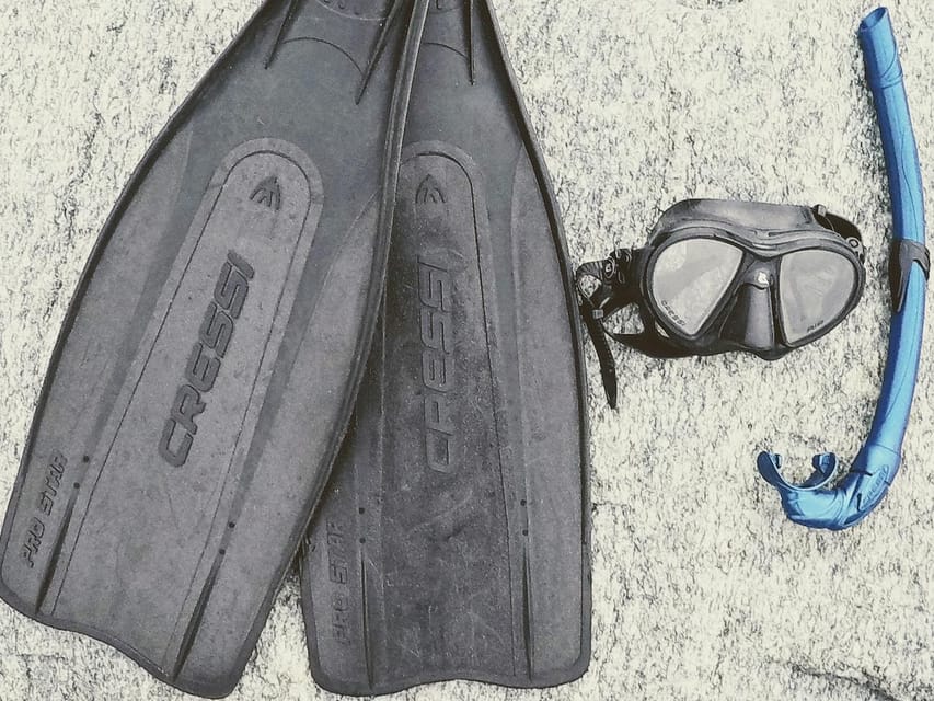 Snorkelling & Marine Biology Experience in the Cinque Terre - Meeting Point and Customer Feedback