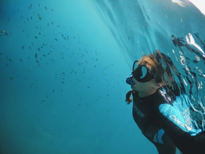 Snorkelling & Marine Biology Experience in the Cinque Terre - Importance of Posidonia Meadows