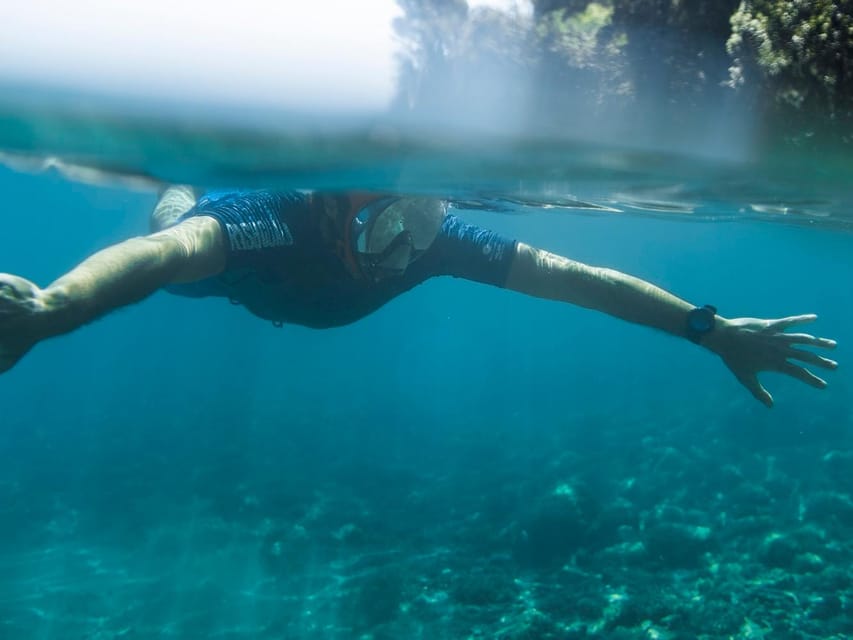 Snorkelling & Marine Biology Experience in the Cinque Terre - Ask Away