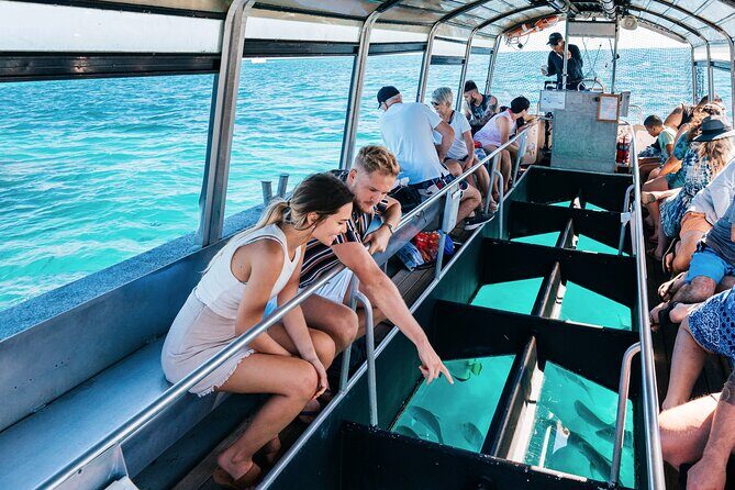 Snorkelling or Glass Bottom Boat at Green Island from Cairns - An In-Depth Look at the Experience
