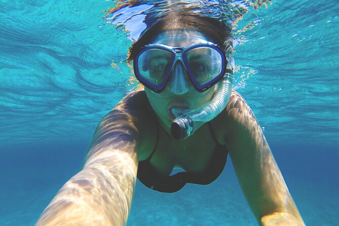 Snorkelling Tours to Daymaniyat Island - Customer Feedback and Ratings