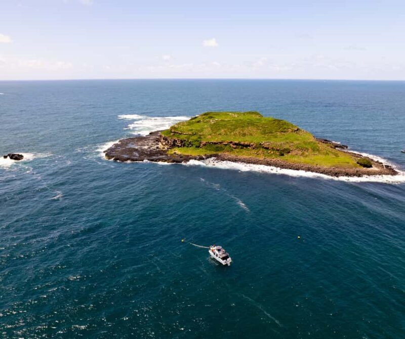 Snorkelling with Turtles at Cook Island Marine Rserve - An Introduction to the Cook Island Marine Reserve Experience