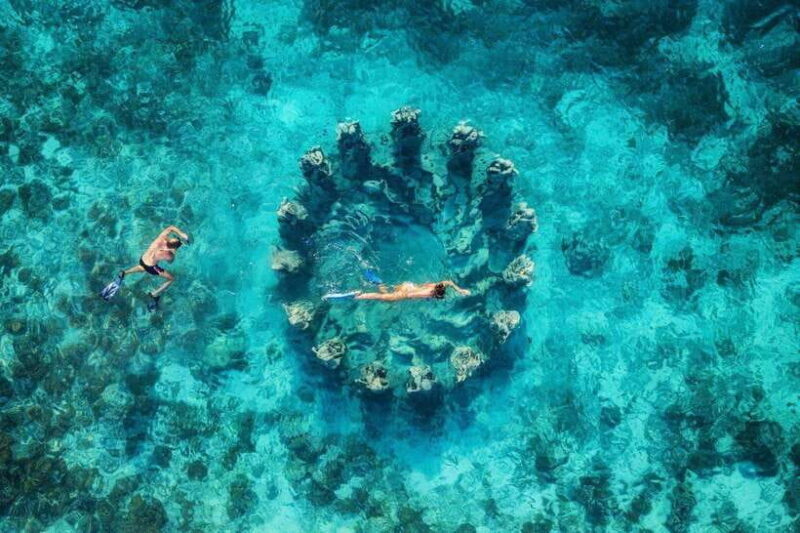 snorkling explore - Why This Tour is a Great Choice