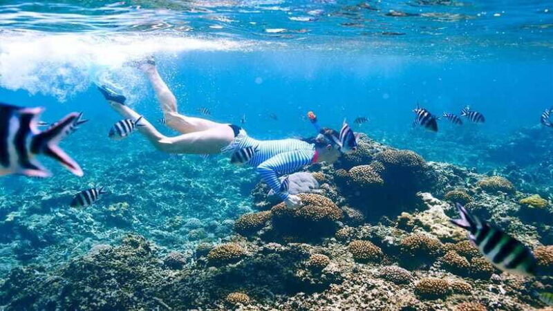 snorkling explore - Practical Tips for Booking & Enjoying Your Tour