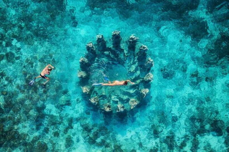 snorkling explore - Final Thoughts