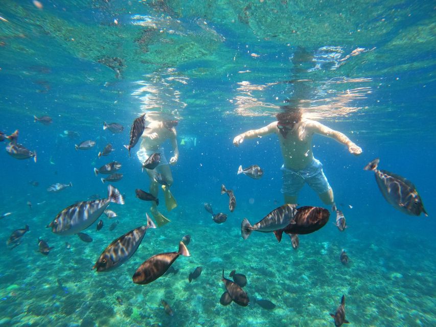 Snorkling & West Day Trip Nusa Penida Island - Key Points