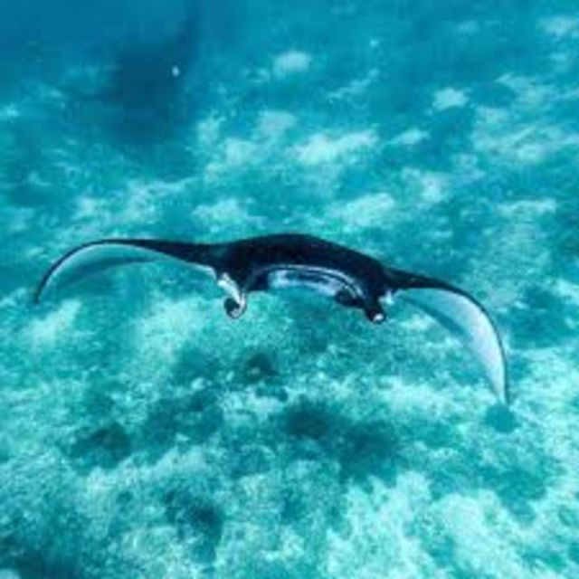 Snorkling & West Day Trip Nusa Penida Island - Itinerary Overview