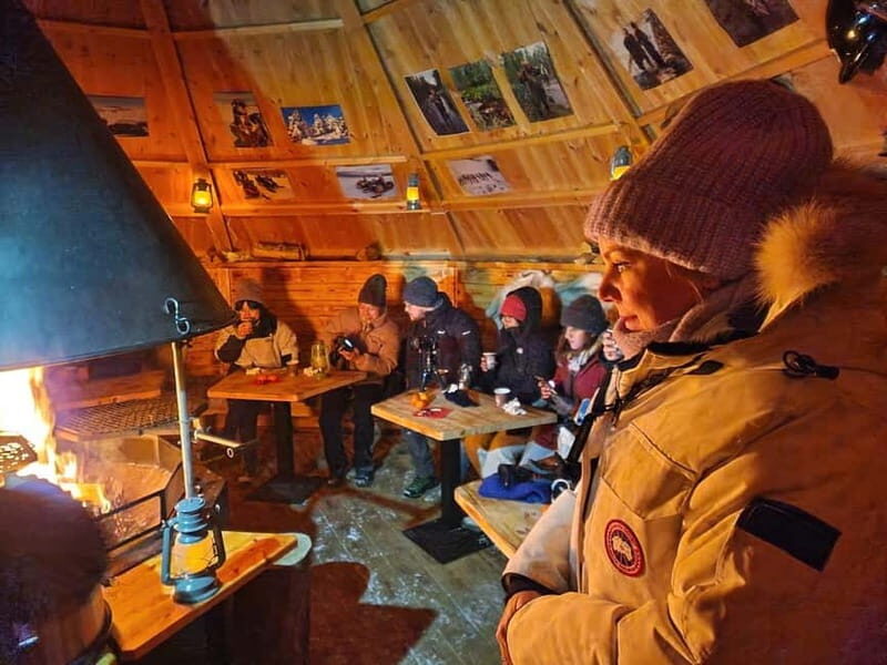 Snow Activities and reindeer feeding in nature - The Sum Up: The Perfect Arctic Day