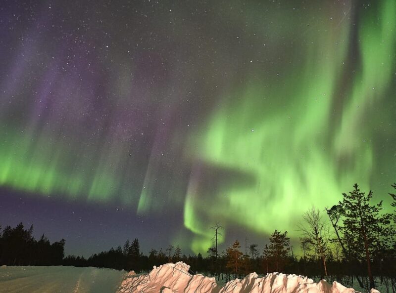 Snow Activities and reindeer feeding in nature - An In-Depth Look at the Experience