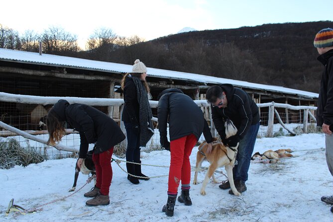 Snow Day Adventure: Hike & Moto Ski at Llanos Del Castor - Important Considerations