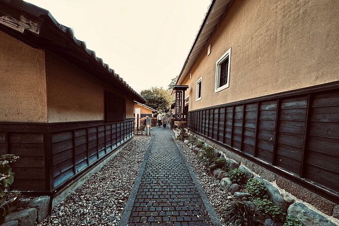 Snow Monkey, Hokusai & Sake: A Perfect Day in Nagano - Wild Monkeys and Winter Conditions