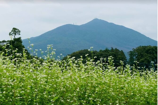 Snow Monkey Nagano or Mt Tsukuba Day Tour by Car English Driver - Mt Tsukuba Tour